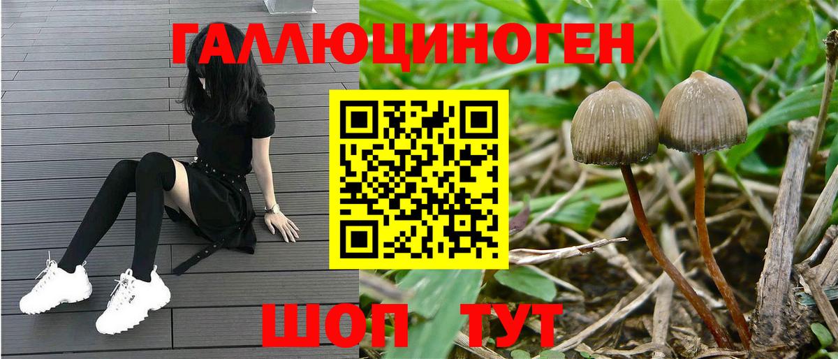 Псилоцибиновые грибы ЛСД Артёмовский